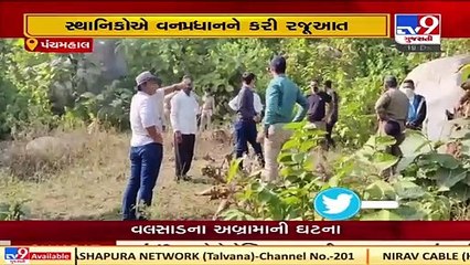 'Man-eater' leopard haunts Ghoghamba villagers, Panchmahal  Tv9GujaratiNews