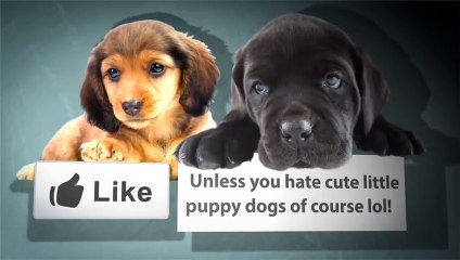 Modern White Living Room Furniture