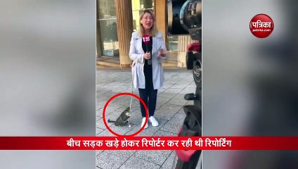 video : लाइव रिपोर्टिंग में बिल्ली की क्यूट हरकत देख दर्शक हुए फिदा