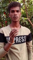 Hindi Shyari Status Video