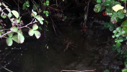 - Ermenistan işgalinden kurtarılan Ahmedavar köyü görüntülendi