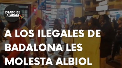 VEAN cómo ILEGALES SUBVENCIONADOS vuelven a CHILLAR contra ALBIOL en las calles de BADALONA