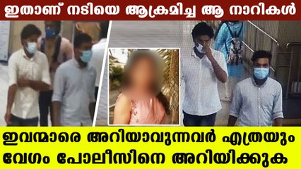 നടിയെ ആക്രമിക്കുക എന്ന ഉദ്ദേശത്തോടെയാണ് മാളില്‍ കയറിയത്