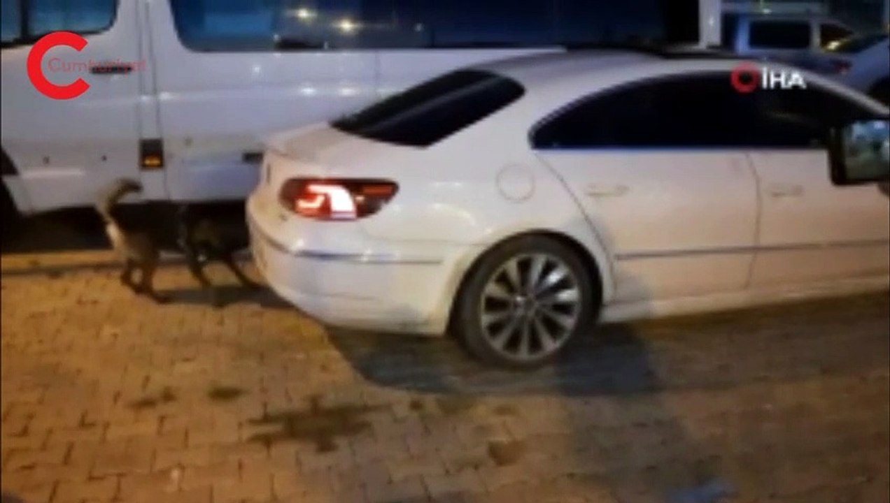 Uyuşturucu paketleriyle "Ohh Ohh" yazıldı, servis edilen videoda Soylu'ya yer verildi