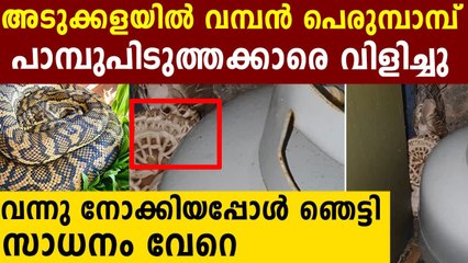 അടുക്കളയില്‍ വമ്പൻ പെരുമ്പാമ്പ്..പക്ഷെ ആളുമാറിപോയി | Oneindia Malayalam