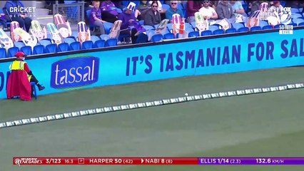 BBL 10 Melbourne Renegades Vs Hobart Hurricanes Match 10  Highlights