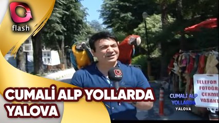 Cumali Alp Yollarda | Yalova