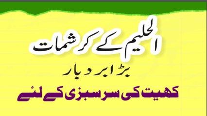 asma ul husna , ya haleemu ki fazilat o barkat or behtreen wazifa What & How |afadiat| names of god|