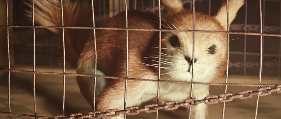 CGI 3D Animated Trailers: "Pokemon - Dark Edition" - by Clement Martin