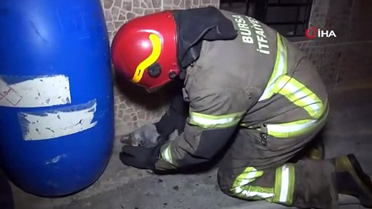 Yangından etkilenen kediye kalp masajı yaparak kurtarmaya çalıştı