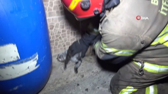 Yangında can pazarı...Balkonda mahsur kalan yaşlı kadını itfaiye kurtardı