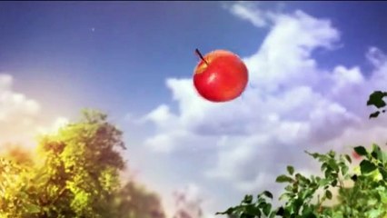 Tempesta d'amore - 15 dicembre 2020