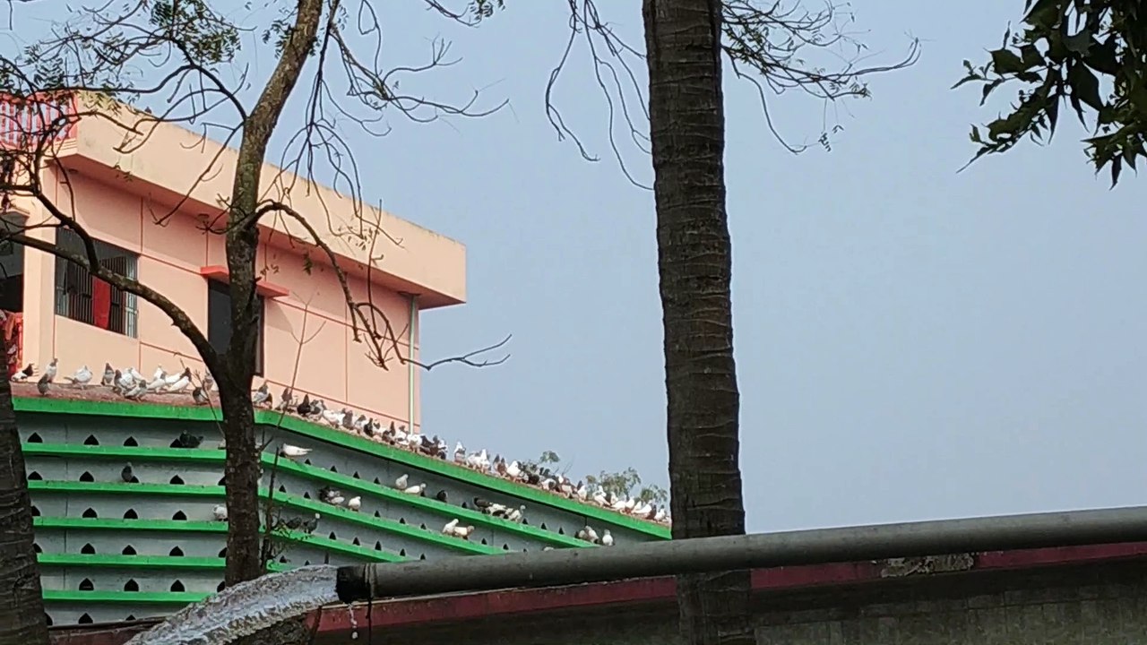 Barodi Loaknath Asrom