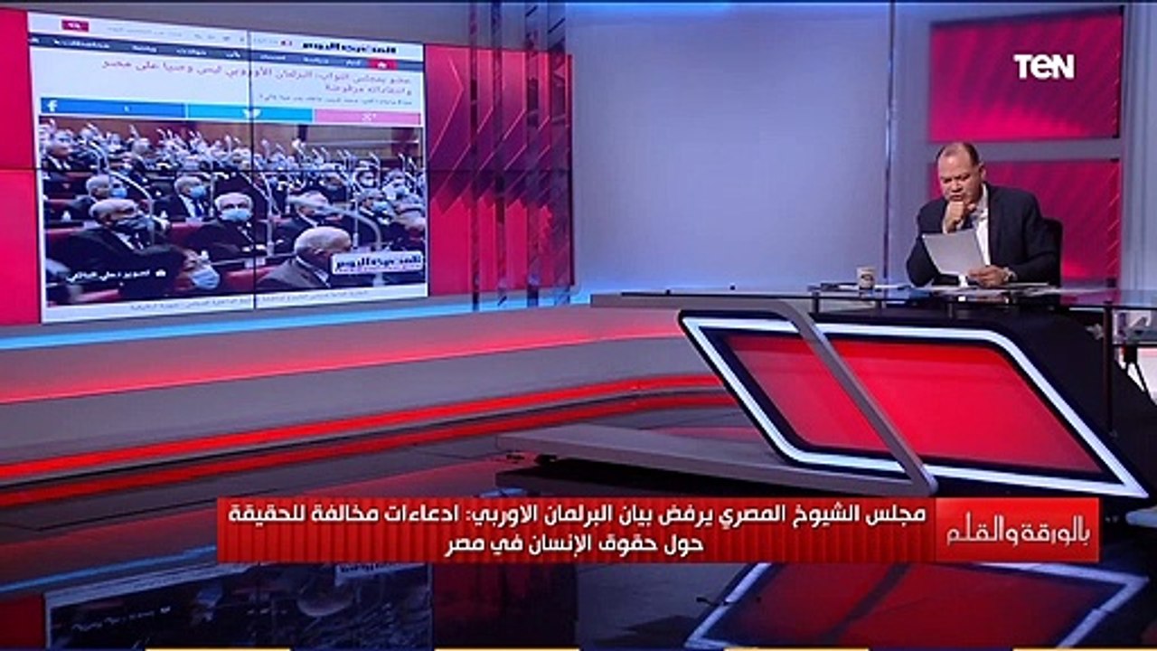 صفعة من البرلمان و مجلس الشيوخ المصري على بيان البرلمان الأوروبي.. اعرف التفاصيل