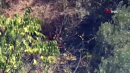 Arılara tütsü verirken 2 hektarlık ormanı yaktı