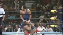 Honky Tonk Man vs. Brad Armstrong [1994-12-25]