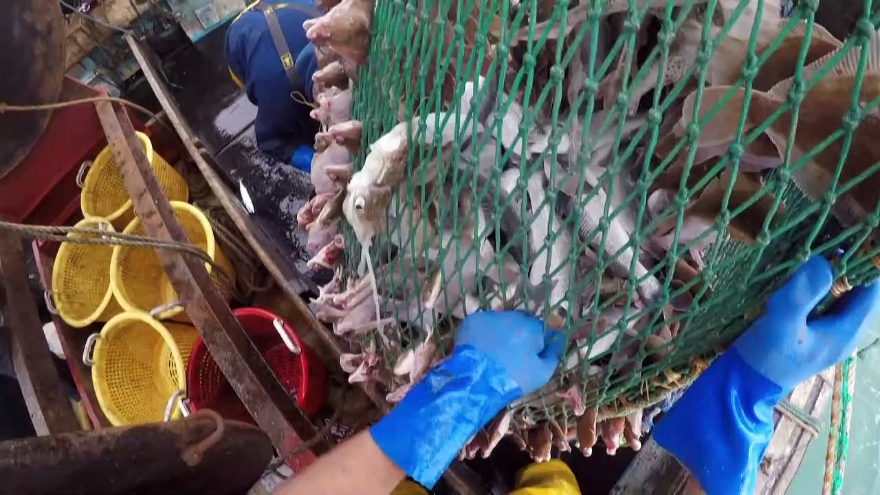 Brexit-Gespräche gehen weiter - Streit um Fischereirechte