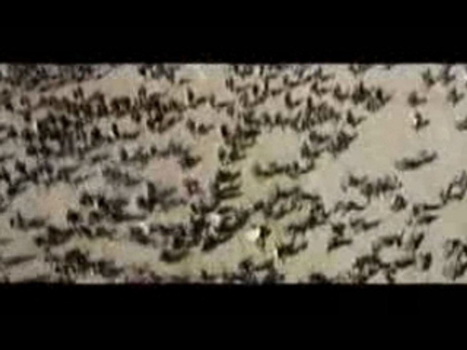 Troy battle part 1