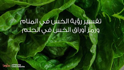 تفسير رؤية الخس في المنام ورمز أوراق الخس في الحلم