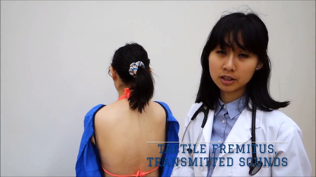 3. Crush the Ontario Boards - Tactile Fremitus, Transmitted Voice Sounds