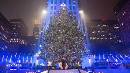 How the Christmas tree tradition began