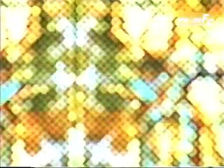 【PRIDE.29】アントニオ・ホジェリオ・ノゲイラ vs アリスター・オーフレイム1