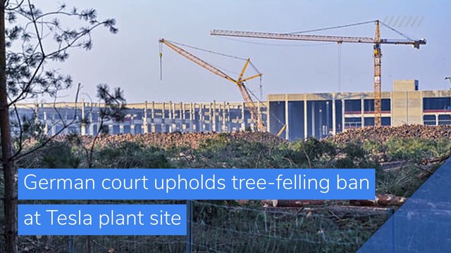 German court upholds tree-felling ban at Tesla plant site, and other top stories in business from December 20, 2020.