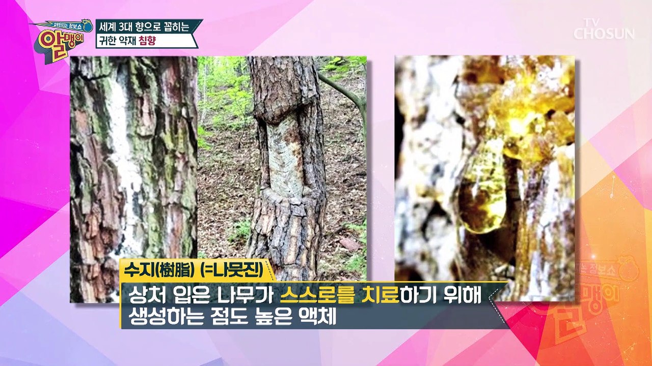 ❛○○❜으로 뇌 혈관 질환 정복하자✌️ #광고포함