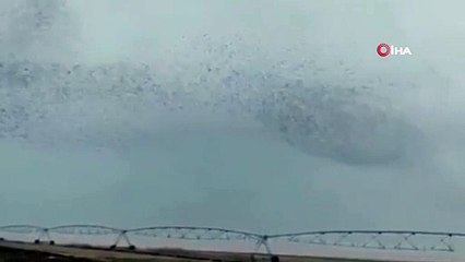 Kuşların gökyüzündeki muhteşem dansı