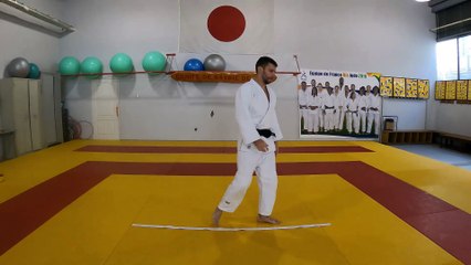 1ère série du Nage no kata