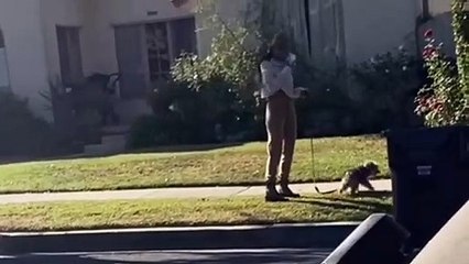 Elle ramasse la crotte de son chien avec son masque et le replace sur son visage