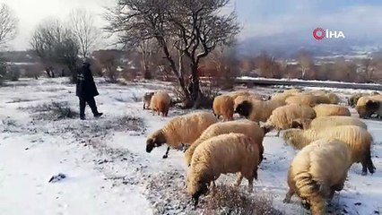 Tokat’ta yüksek kesimler beyaz örtü ile kaplandı