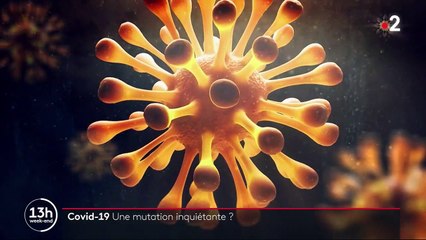 Coronavirus : faut-il s'inquiéter d'une mutation du virus ?