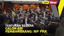 Tentukan segera calon PM pembangkang: MP PKR