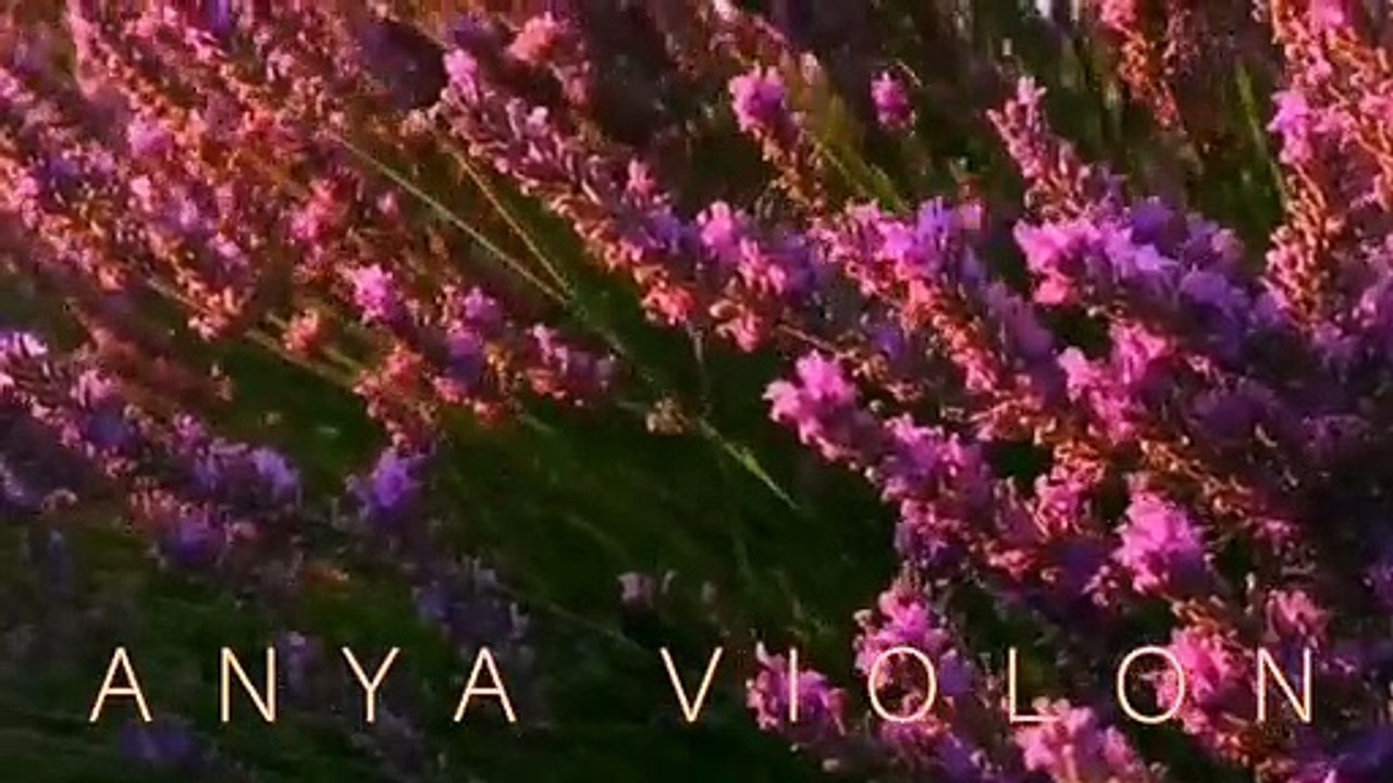 ANYA VIOLON CLASSIQUE