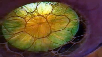 Doctor Who 03 S08E13 The Claws of Axos Pt 3