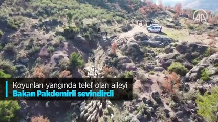 Koyunları yangında telef olan aileyi Bakan Pakdemirli sevindirdi