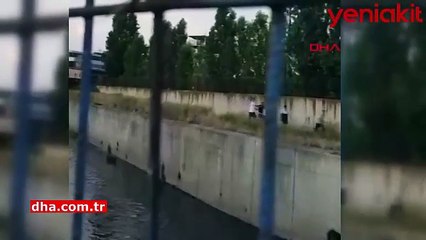 İstanbul'da kan donduran görüntüler! Dövdükleri adamı metrelerce yükseklikten dereye attılar