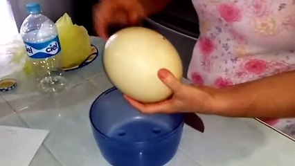 Elle prépare une petite omelette pour 10 avec un oeuf d'autruche