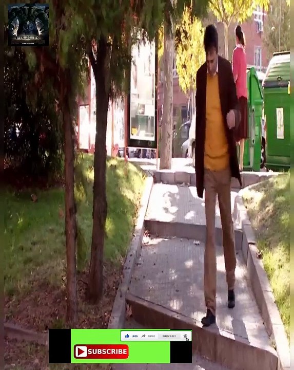 Scottish Fold munchkin - Humor sketches parodias actualidad muchos personaj...