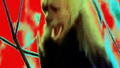 MillenniuM S03-E12 The Sound Of Snow