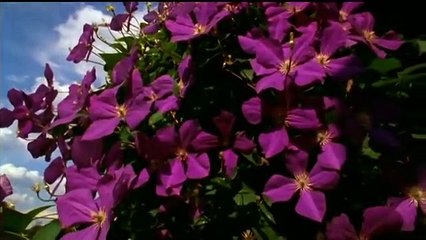 Abraham and Mary Lincoln A House Divided - S01E03 - Part III Shattered