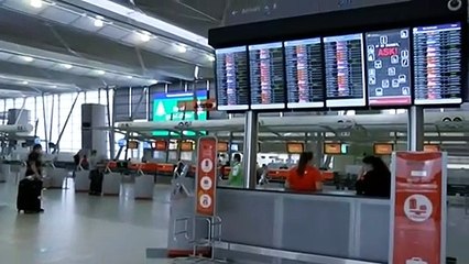 Flights cancelled as NSW records 30 cases on Sunday