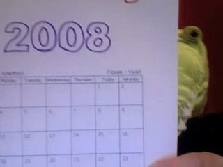 Leap Year Countdown Child Activity Cullen's Abc's