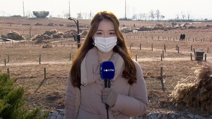 [날씨] '동지' 추위 누그러져...올해 성탄절 눈 대신 강추위 / YTN