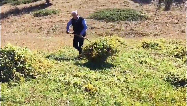 Binali Yıldırım Erzincan Dumanlı Yaylası'ndaki görüntülerini paylaştı