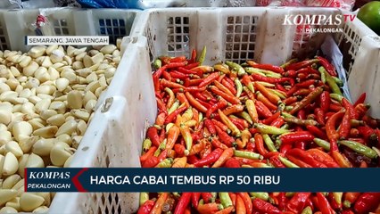 Harga Cabai Tembus Rp 50 Ribu Per Kilogram