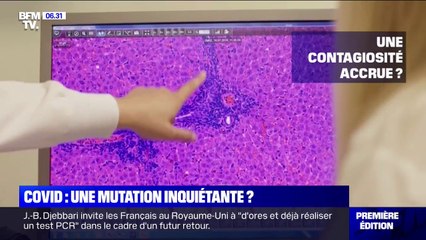 Mutation du Covid-19: que sait-on de cette nouvelle souche?