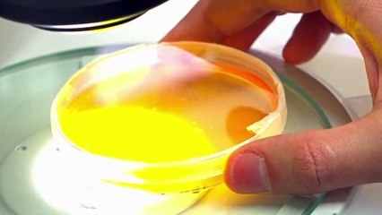 mRNA: Katalin Kariko, die Frau hinter dem Impfstoff-Durchbruch