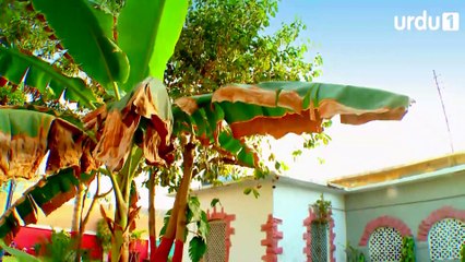 Pull Kay Us Par - Episode 1 | Urdu 1 Dramas | Riz Kamali, Kanwar Arsalan, Naheed Shabbir